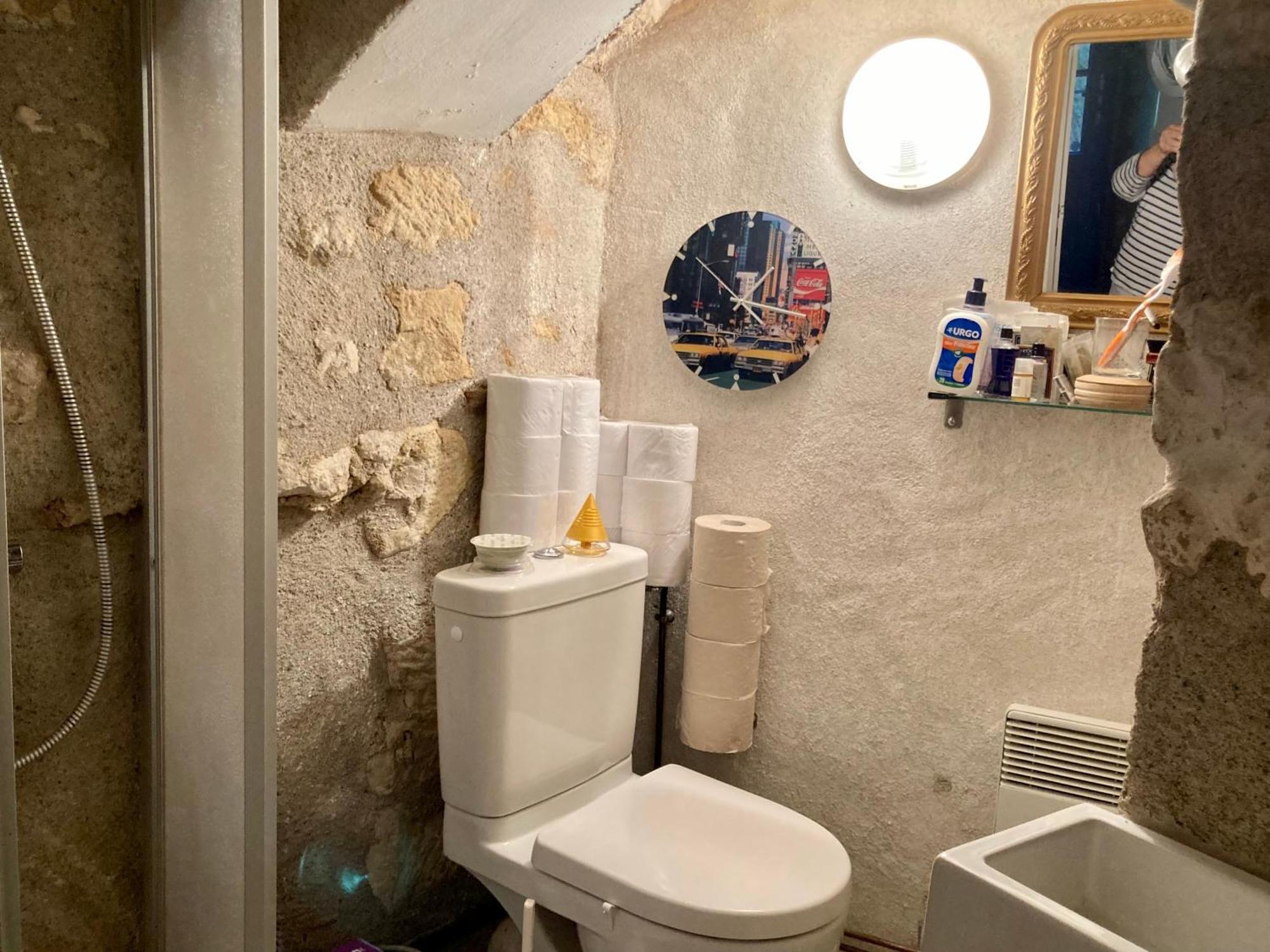 Ferme semi-troglodytique 18e siècle Villa Montlouis-sur-Loire Esterno foto