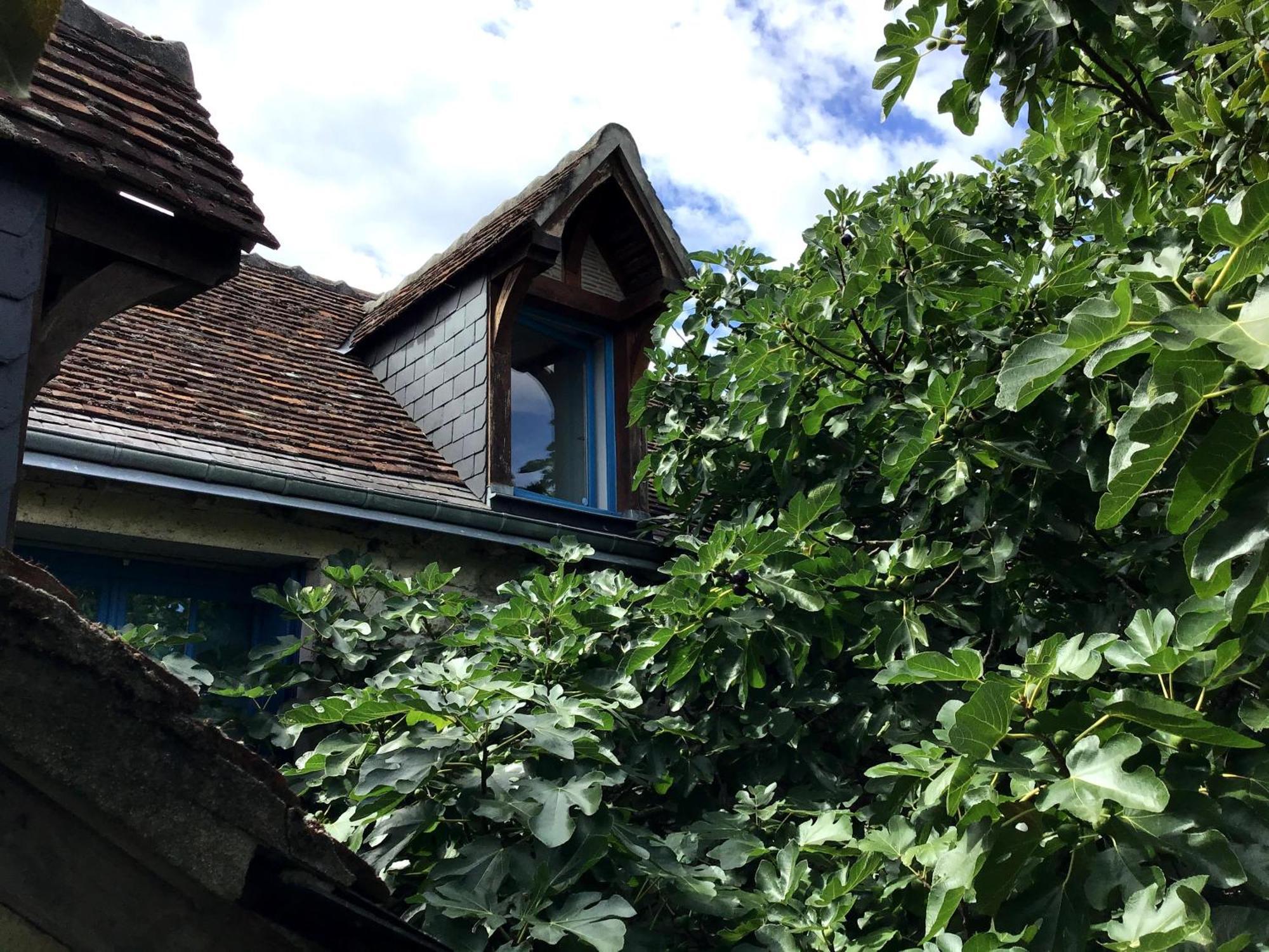 Ferme semi-troglodytique 18e siècle Villa Montlouis-sur-Loire Esterno foto