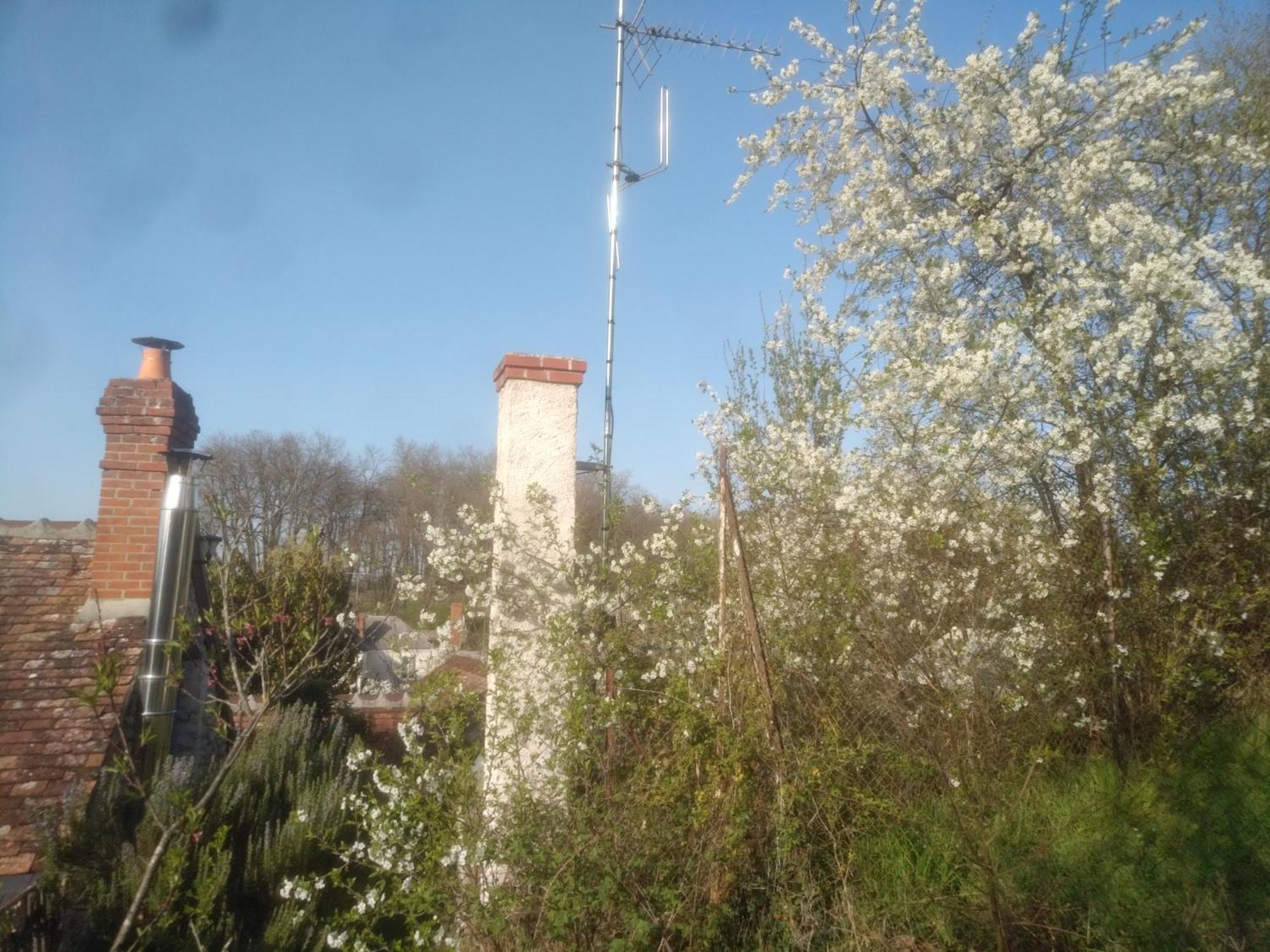 Ferme semi-troglodytique 18e siècle Villa Montlouis-sur-Loire Esterno foto